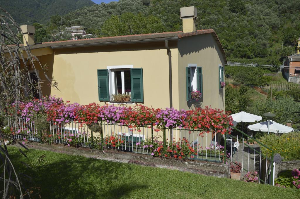 לבנטו Agriturismo Millefiori מראה חיצוני תמונה