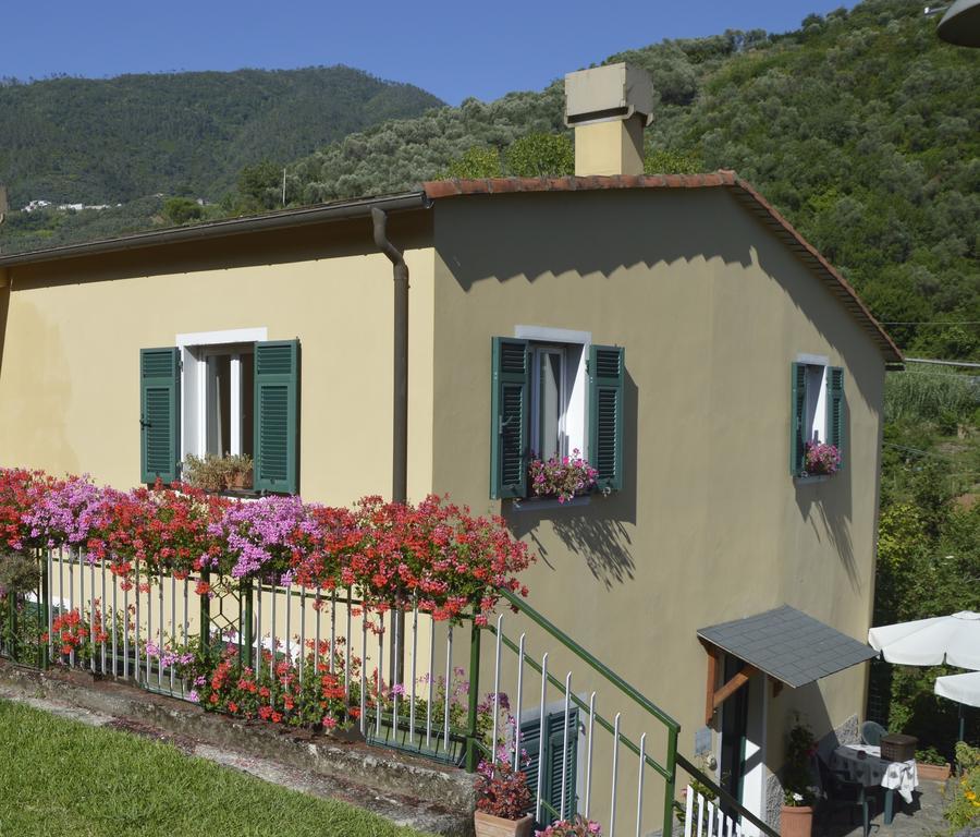 לבנטו Agriturismo Millefiori מראה חיצוני תמונה